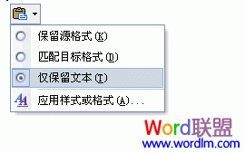 仅保留文本