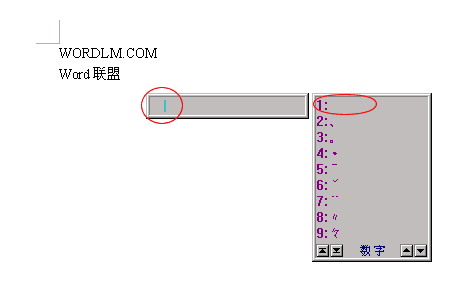 word2003里面什么样的英文字体可以增加字符统计